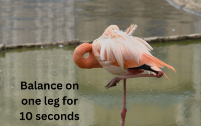 What does it mean if you can t balance on one leg for 10 seconds?